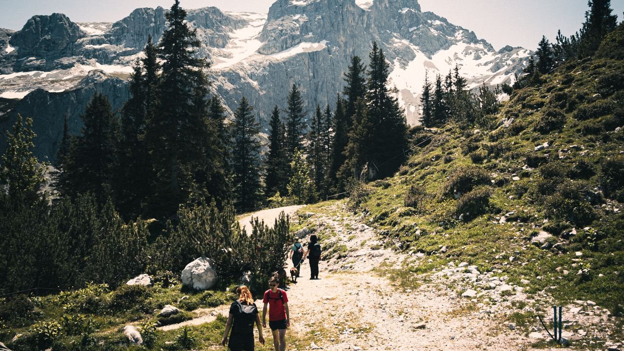 Hikers enjoy a stunning winter hike in the snow-covered Alps with majestic mountains in view.