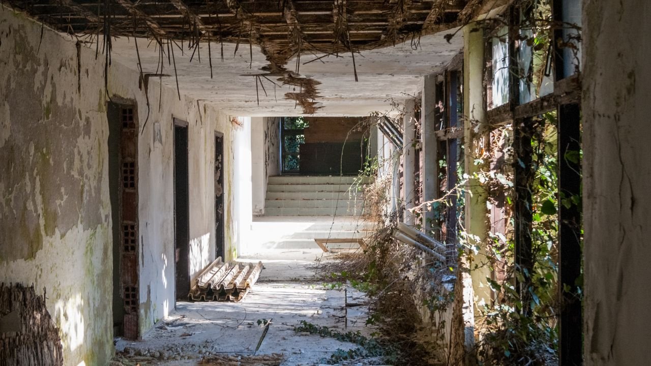 Explore an eerie, sunlit abandoned corridor in Ohrid with overgrown vegetation and decayed architecture.