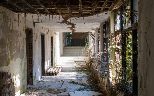 Explore an eerie, sunlit abandoned corridor in Ohrid with overgrown vegetation and decayed architecture.