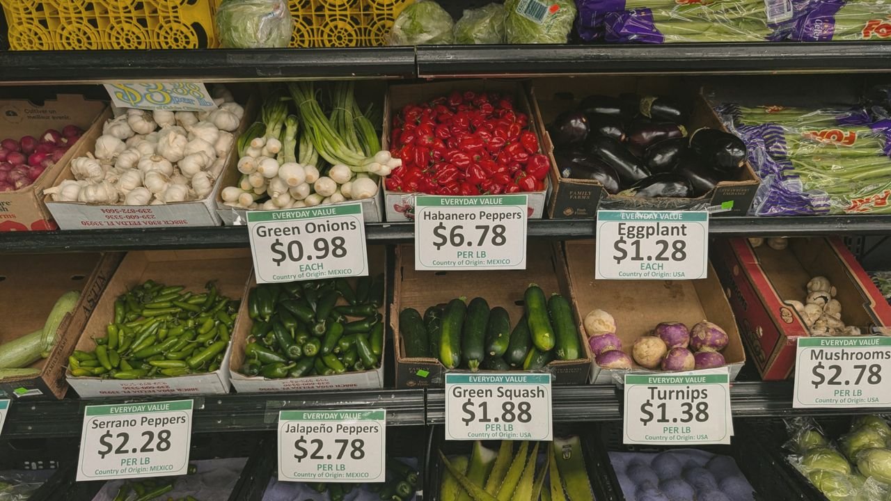 Fresh vegetables including peppers, squash, and mushrooms in a grocery store produce aisle.