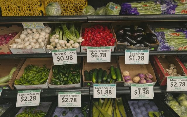 Fresh vegetables including peppers, squash, and mushrooms in a grocery store produce aisle.