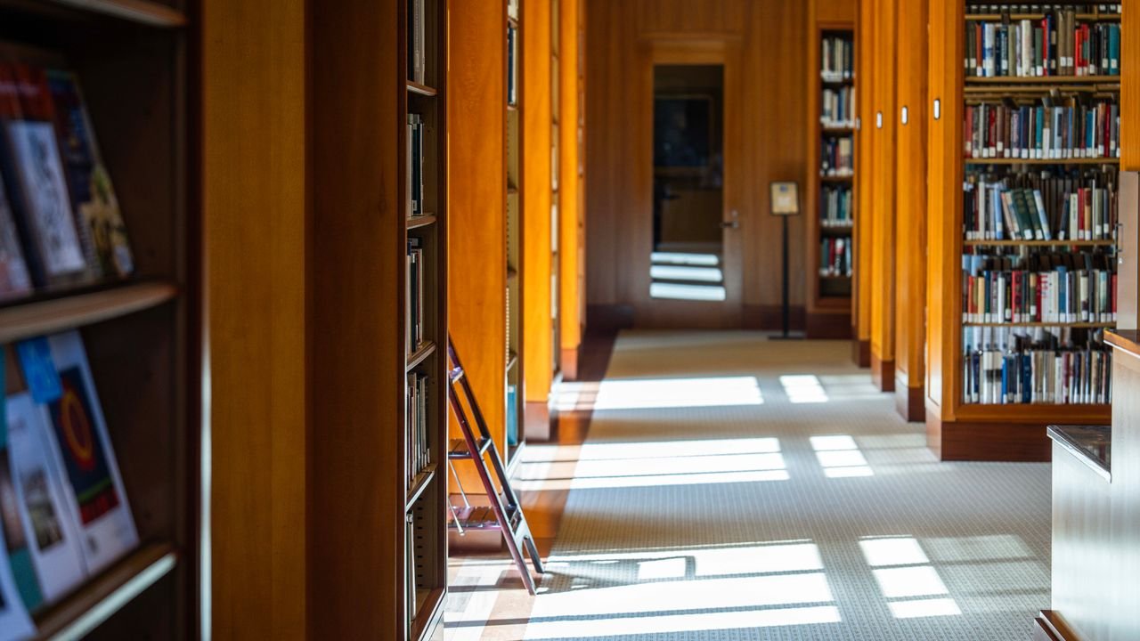A peaceful library aisle illuminated by sunlight streaming in, showcasing book-filled shelves.