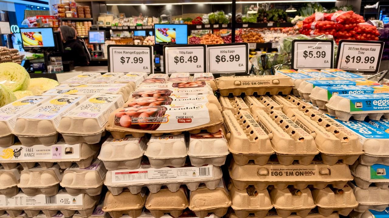 Variety of eggs for sale in a supermarket in Tarneit, Victoria, Australia.