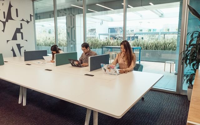 Contemporary office setting with professionals working on laptops at a shared desk.