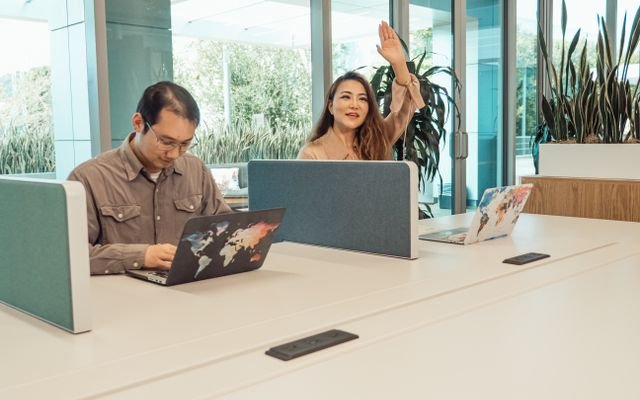 Two colleagues collaborating in a modern office setting equipped with laptops and plants.