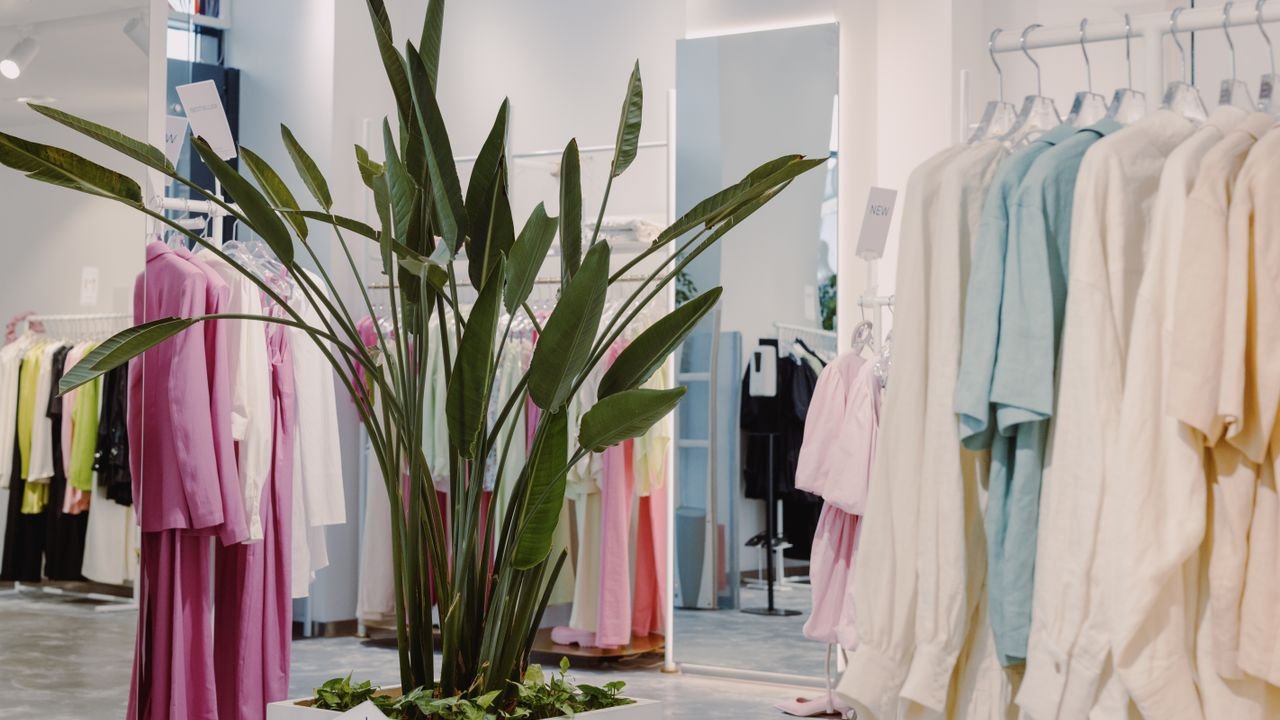 Bright and airy boutique featuring pastel garments and a lush green plant centerpiece.